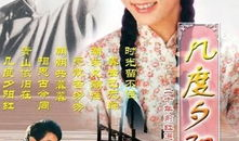 几度夕阳红 电视剧,岁月流转中的情感纠葛